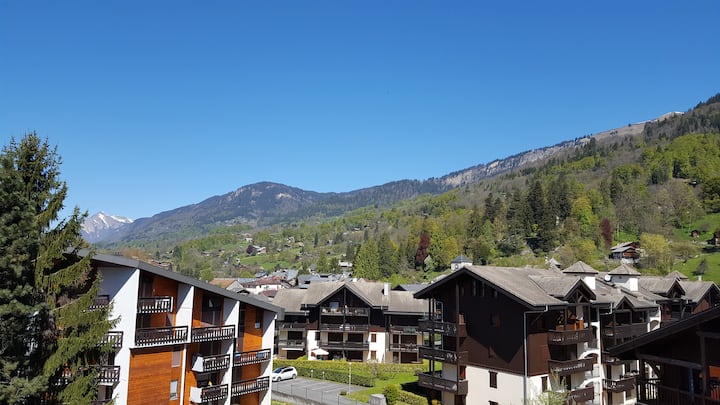 Studio apartment in Samoëns village for 4