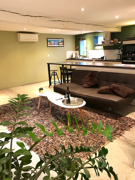 L'appartement est décoré avec quelques plantes faciles à entretenir et non dangereuses