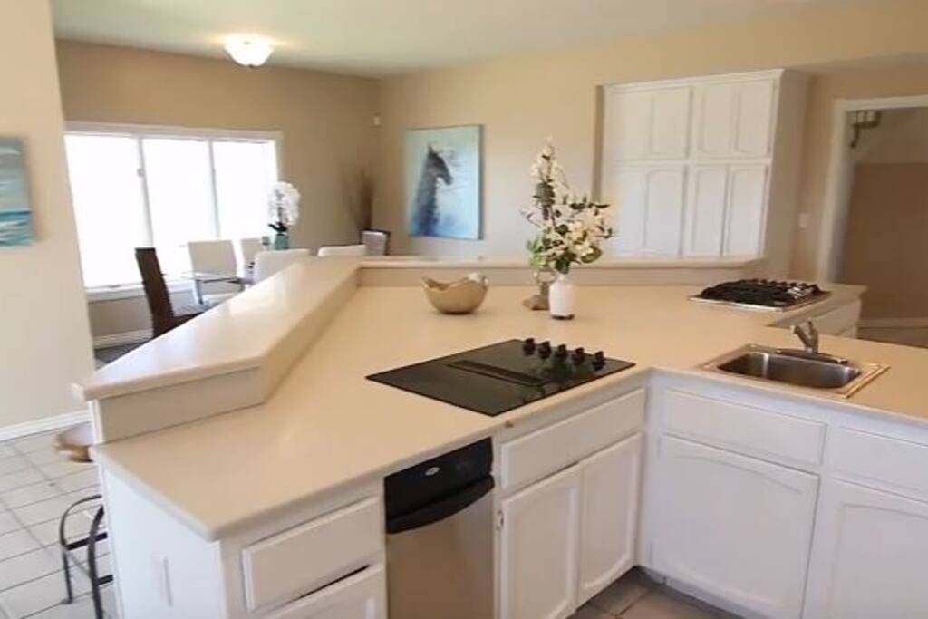 Double-stove Kitchen