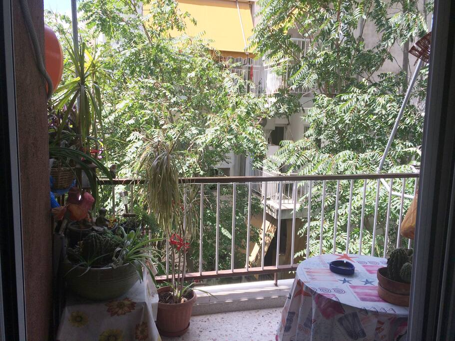 Our little and green balcony!