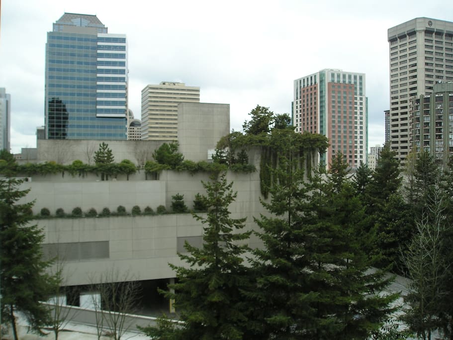 West-facing view from the rooftop deck.