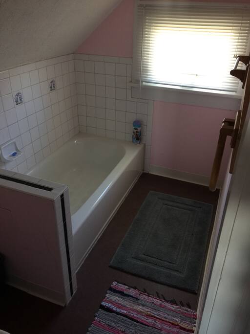 Bathtub with shower handle
