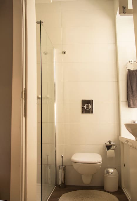 Bathroom is cosy but well spaced-out. Great walk-in shower.