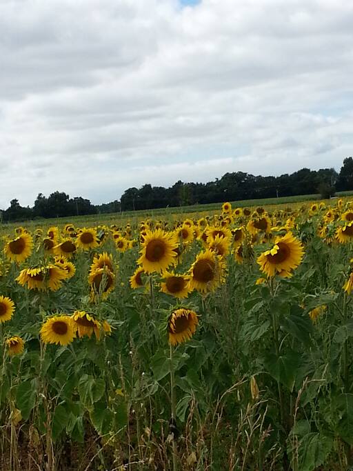 Les alentours