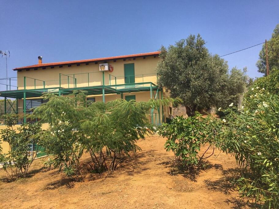 View from the garden