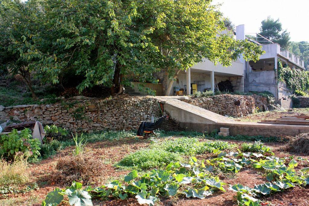 courtyard