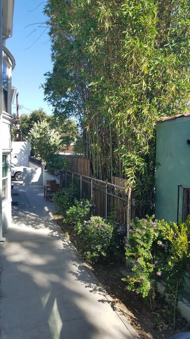 Front Porch / Stoop