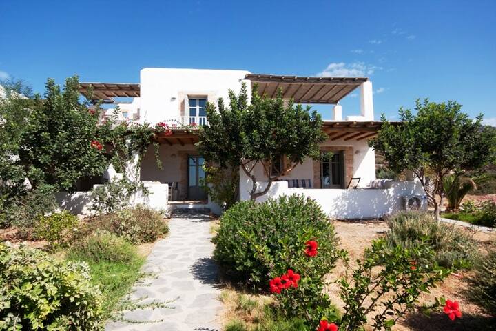 Luxury Beachfront Villa gallery image 4