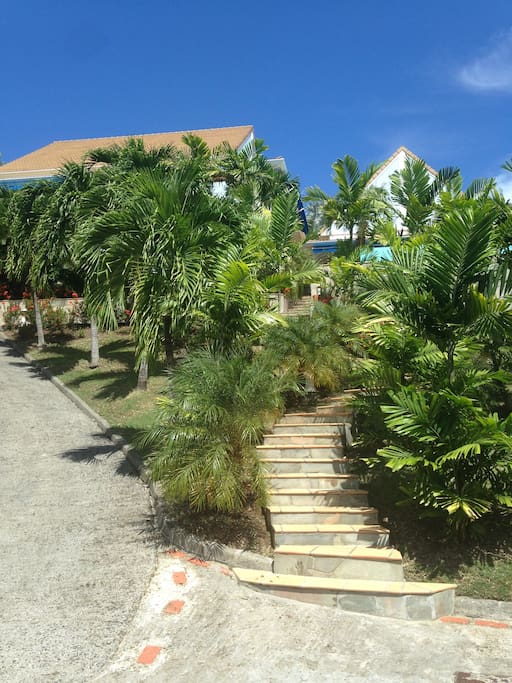 cette propriété est nichée dans un jolie jardin tropical.