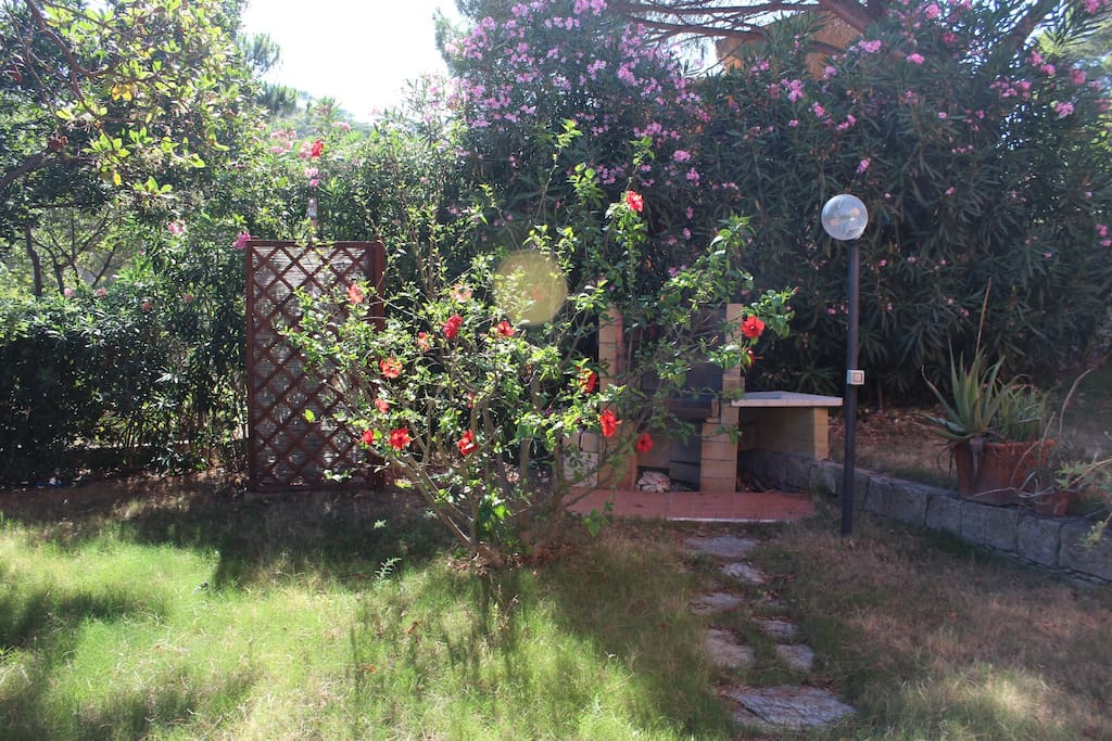 garden with bbq