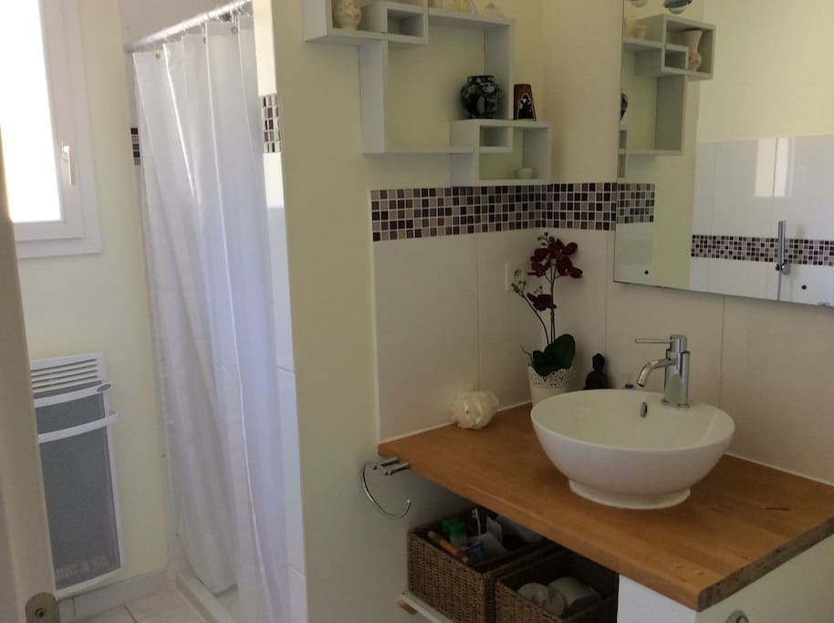 Private bathroom with separate walk-in shower