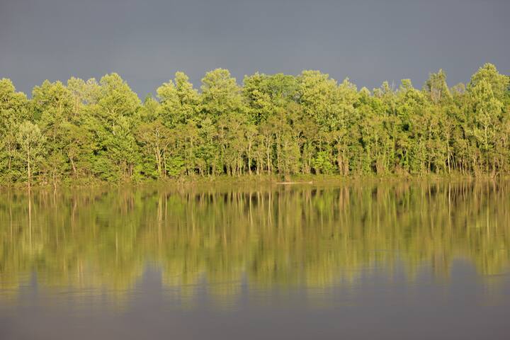 Cypress Cabin Atchafalaya River Cabins For Rent In Krotz