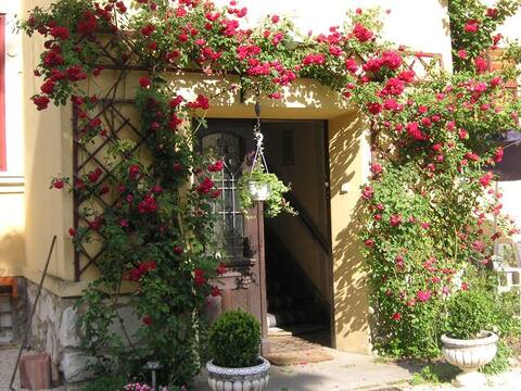 Apartment in Velden/Ws central