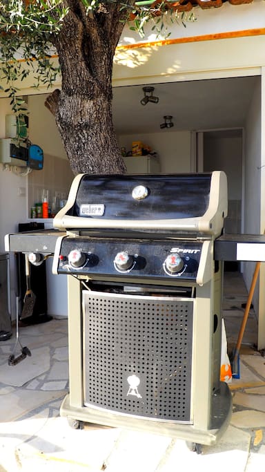 Cuisiné d'été équipée avec lave vaisselle, frigo, BBQ