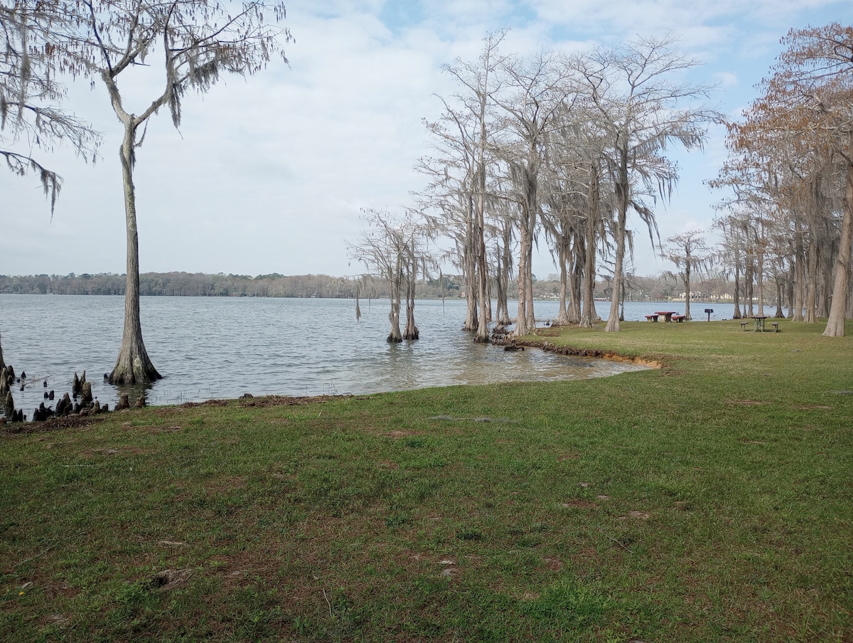 A serene lakeside scene showcases a calm body of water bordered by grass and scattered cypress trees. Spanish moss hangs from the branches, and a picnic area with tables is visible in the distance, creating an inviting space for outdoor gatherings.