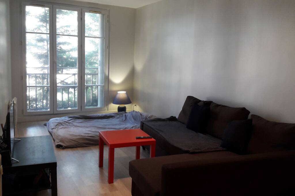 Living room (convertible + bed)
