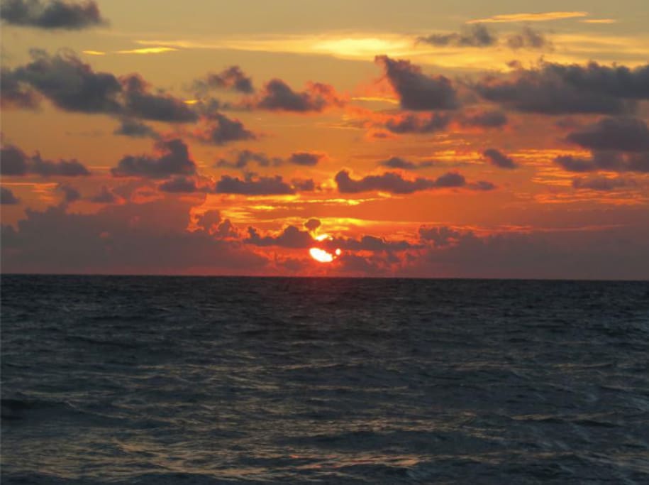 You cannot beat a Gulf sunset on Florida's west coast!