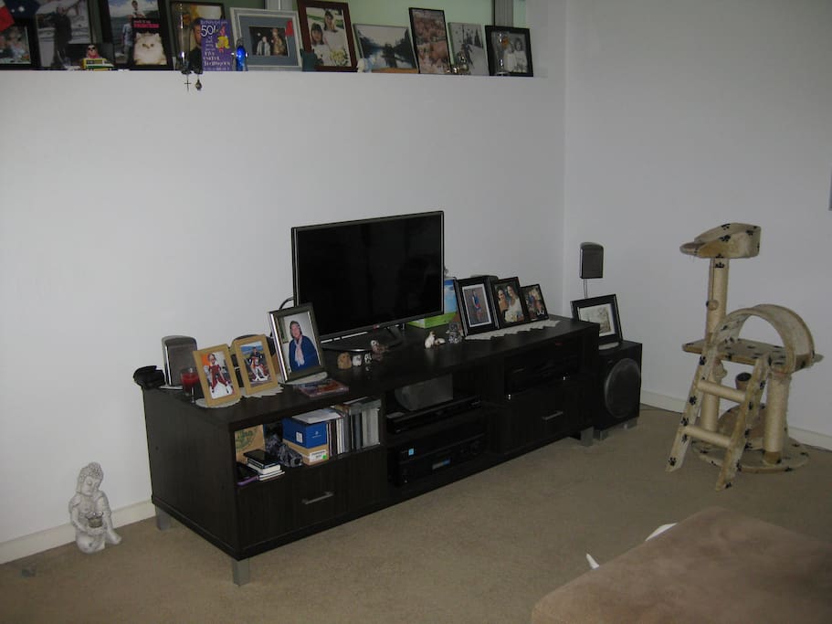 The TV room