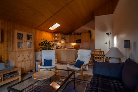 Top performing Airbnb: Lovely apartment in mountain chalet in Val D'illiez