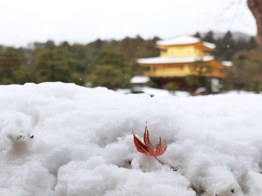 京都冬日限定 我把人生清单上的 雪中金阁寺 打了个勾 京都旅游攻略 尽在airbnb爱彼迎 京都冬日限定 我把人生清单上的 雪中金阁寺 打了个勾 京都旅游攻略 尽在airbnb爱彼迎