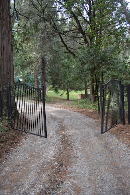 Welcome to Rising Sun Ranch, come on in.....