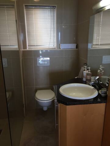 Hibernian 1103 gallery image 5