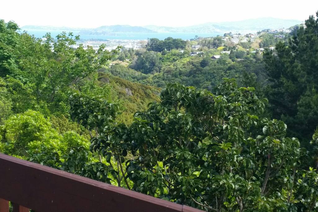 From your room you will look out down the valley and out to Wellington harbour and the city in the distance.