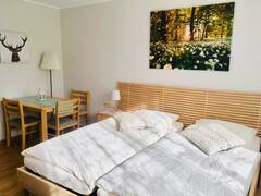 Apartment+in+Celle