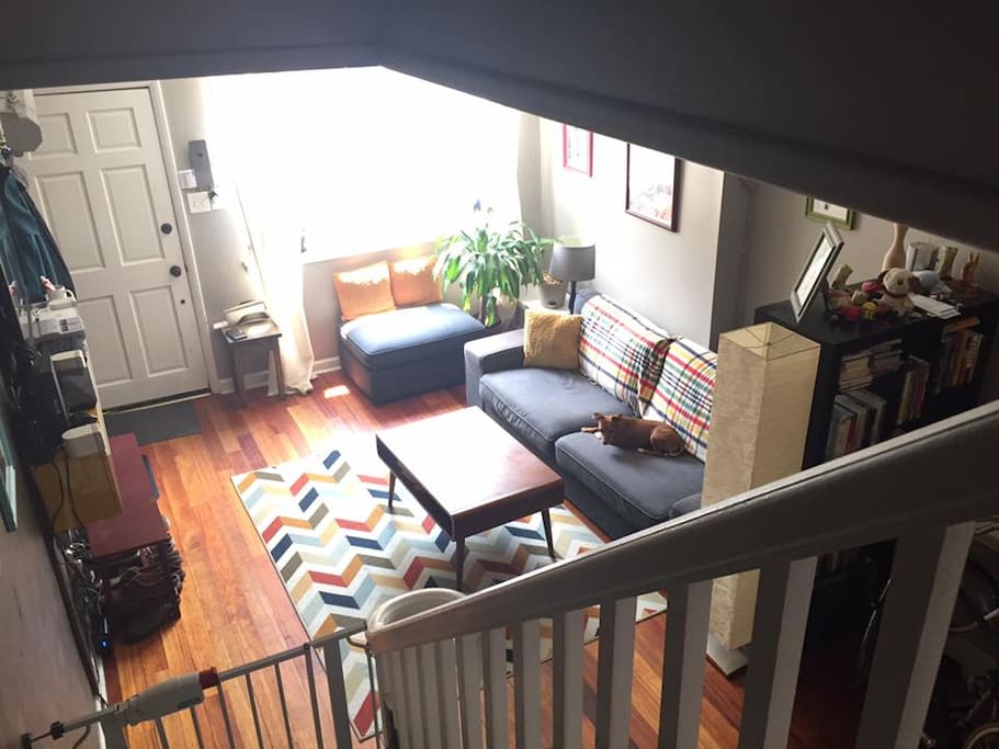 another view of the living room. dog not included.