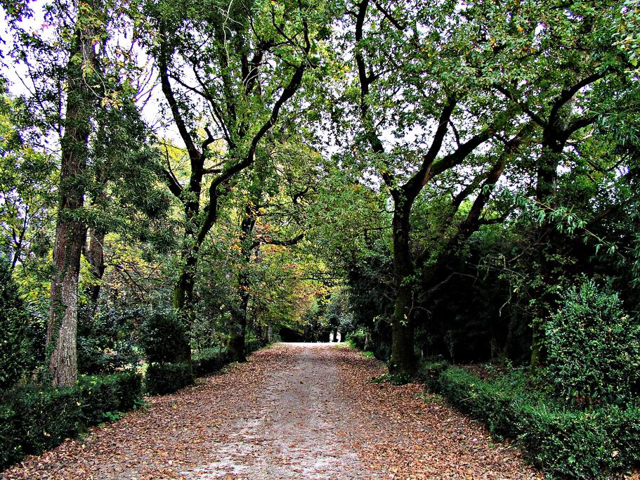 Alameda da entrada.