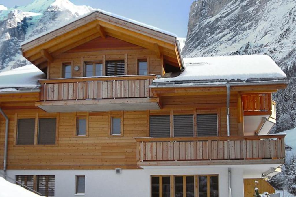The house (winter)