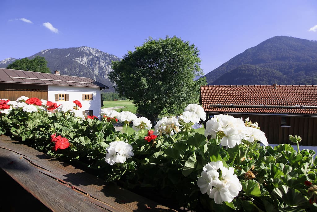 Aussicht vom Balkon