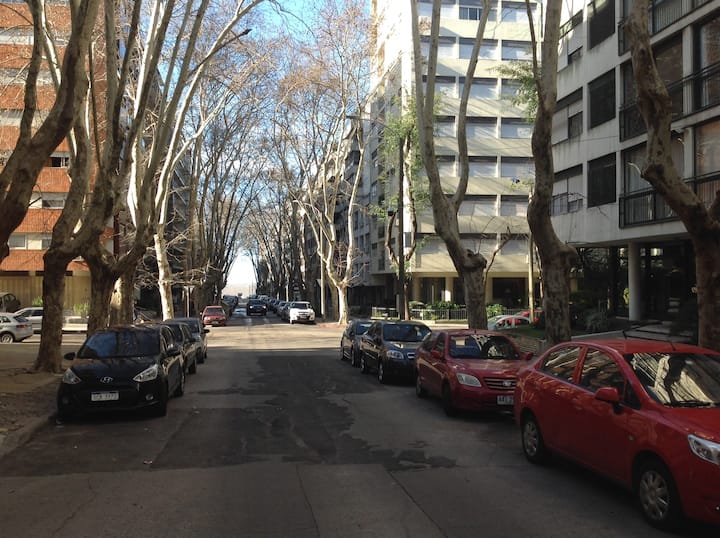 Southern Apartments/MASSINI 3/ Apartments for Rent in Montevideo