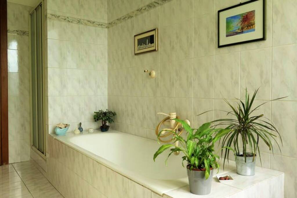 Exclusive bathroom shower side)