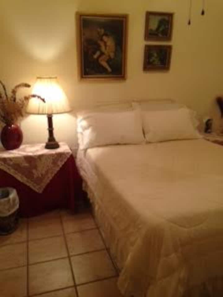 Historic Apt in Magical Marigny Apartments for Rent in New Orleans