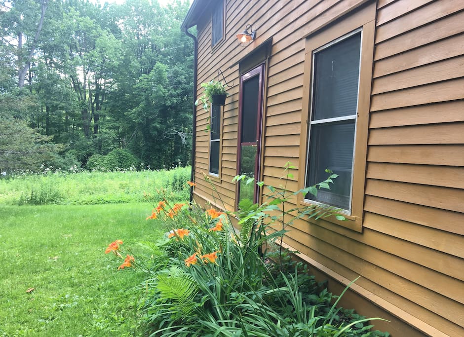 The front of the house. Lilies in bloom.
