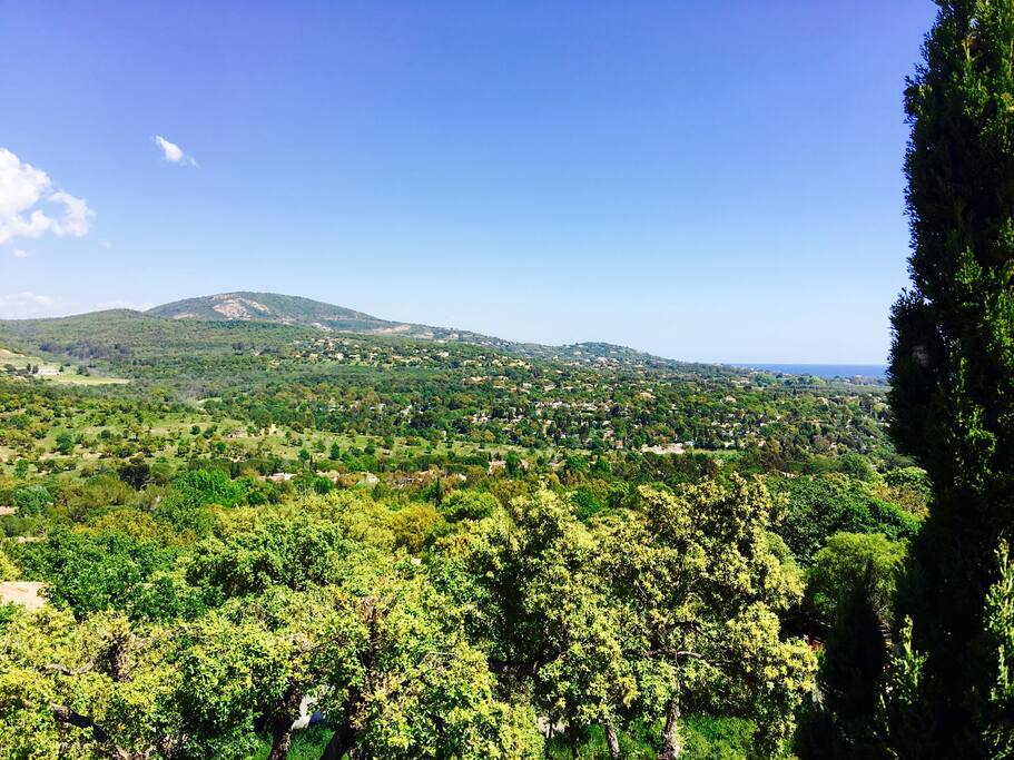 Vue depuis la terrasse