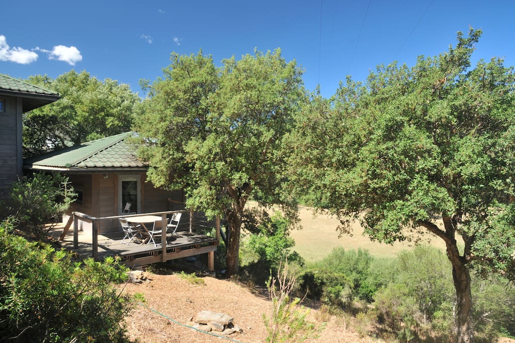 Cabin in the trees / pavillon dans les arbres