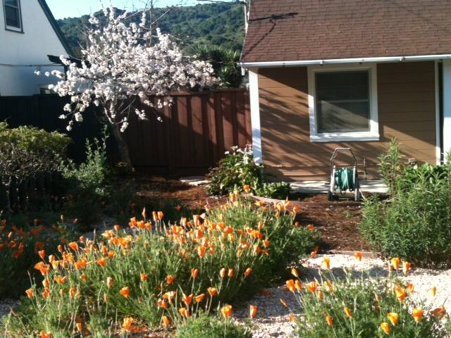 Quiet Apt in SF Bay Area, Pets OK!