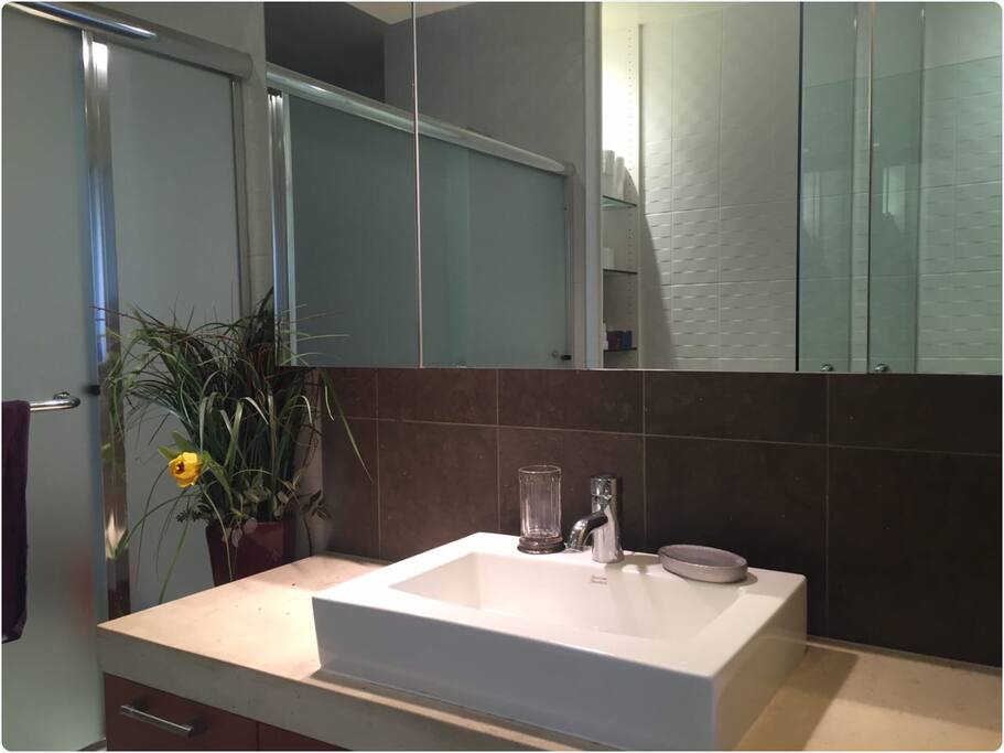 Bathroon in master bedroom