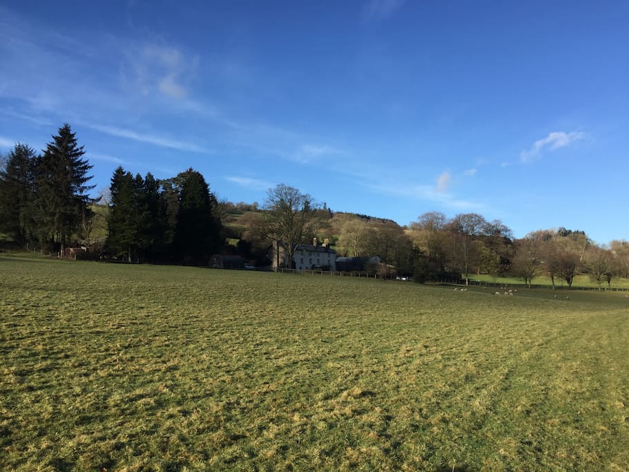 Llandetty Hall Farm is set in 15 acres