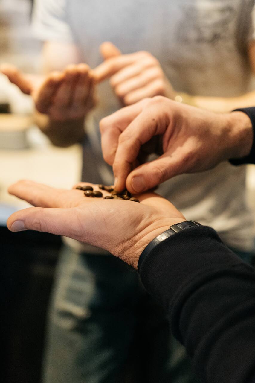 The Art of Espresso The Art of Espresso - Airbnb