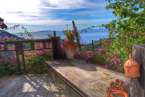 Ocean View Malibu Mountain Retreat