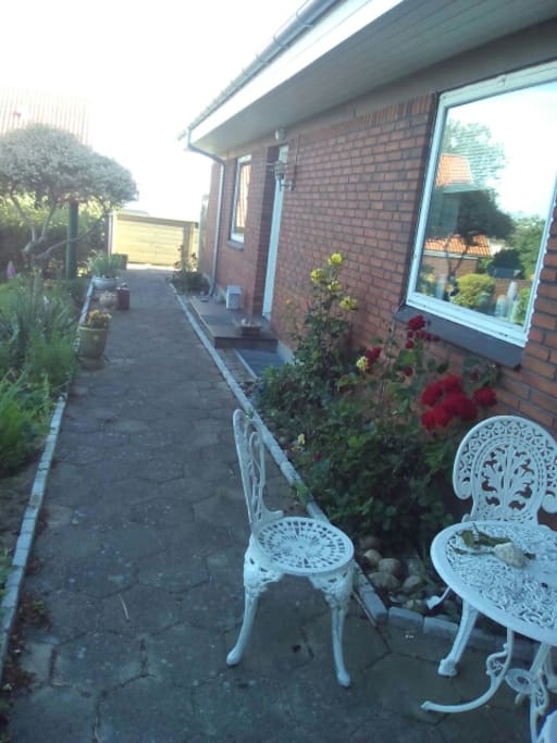 The back yard