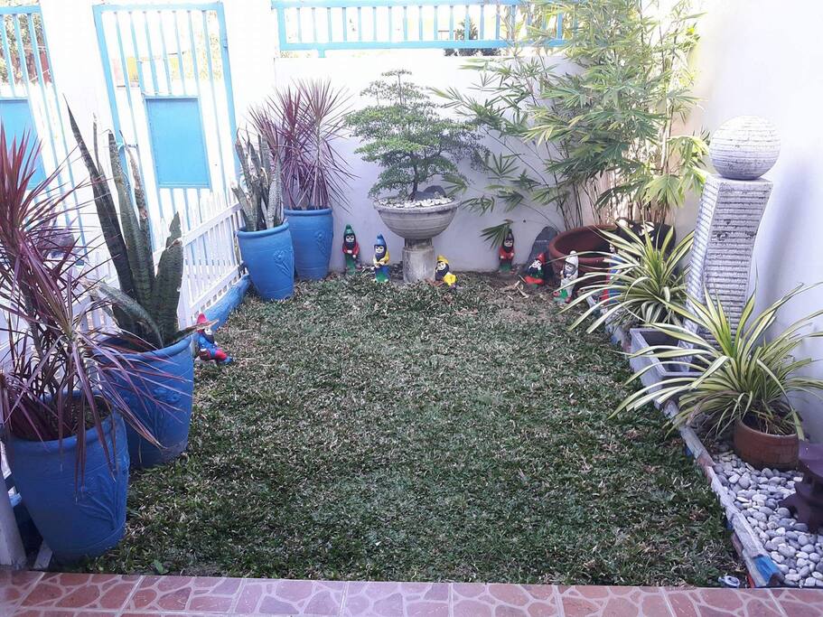 mini garden with fountain