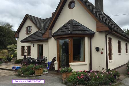 Double room ("Tulip Room") in cosy Cork City home.