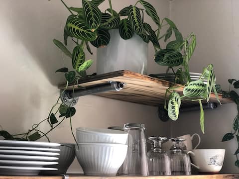 Top performing Airbnb: Ocean Beach Cottages 3 Sunset Cottage in Ocean Beach
