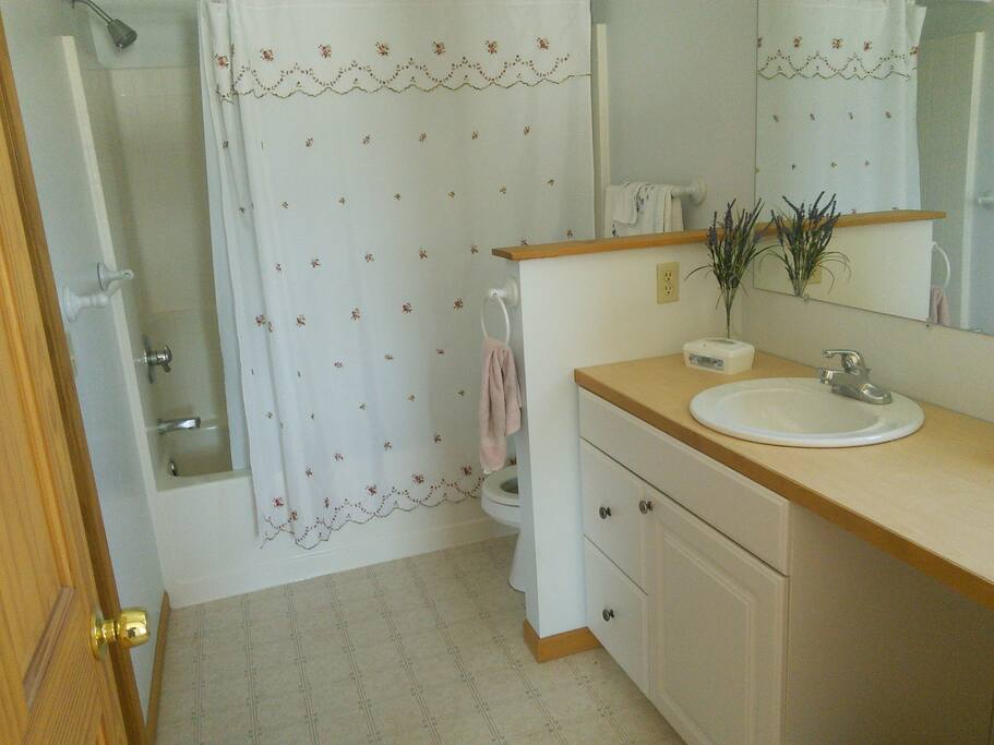 shower bathtub