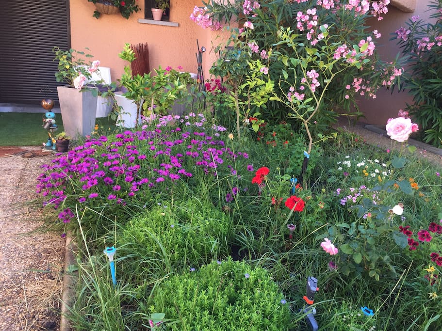 Jardin situé à l'entrée