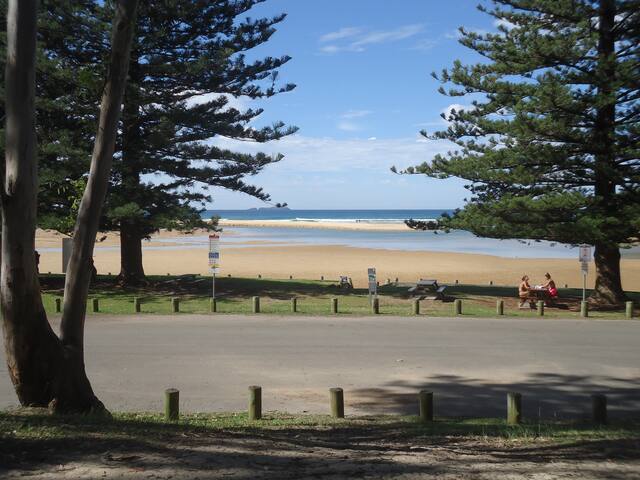 Tavs at Moonee Beach